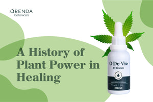 History of Plant Power in Healing