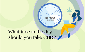 What time in the day should you take CBD?